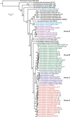 Revisiting the Taxonomic Status of the Biomedically and Industrially Important Genus Amycolatopsis, Using a Phylogenomic Approach